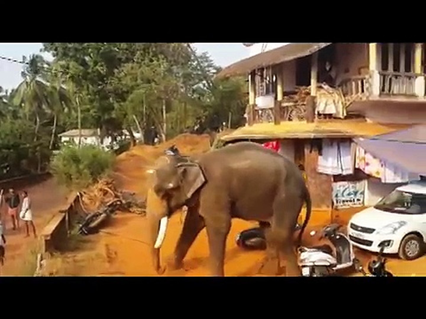 Elephant attack in Valanchery Kerala - Latest News