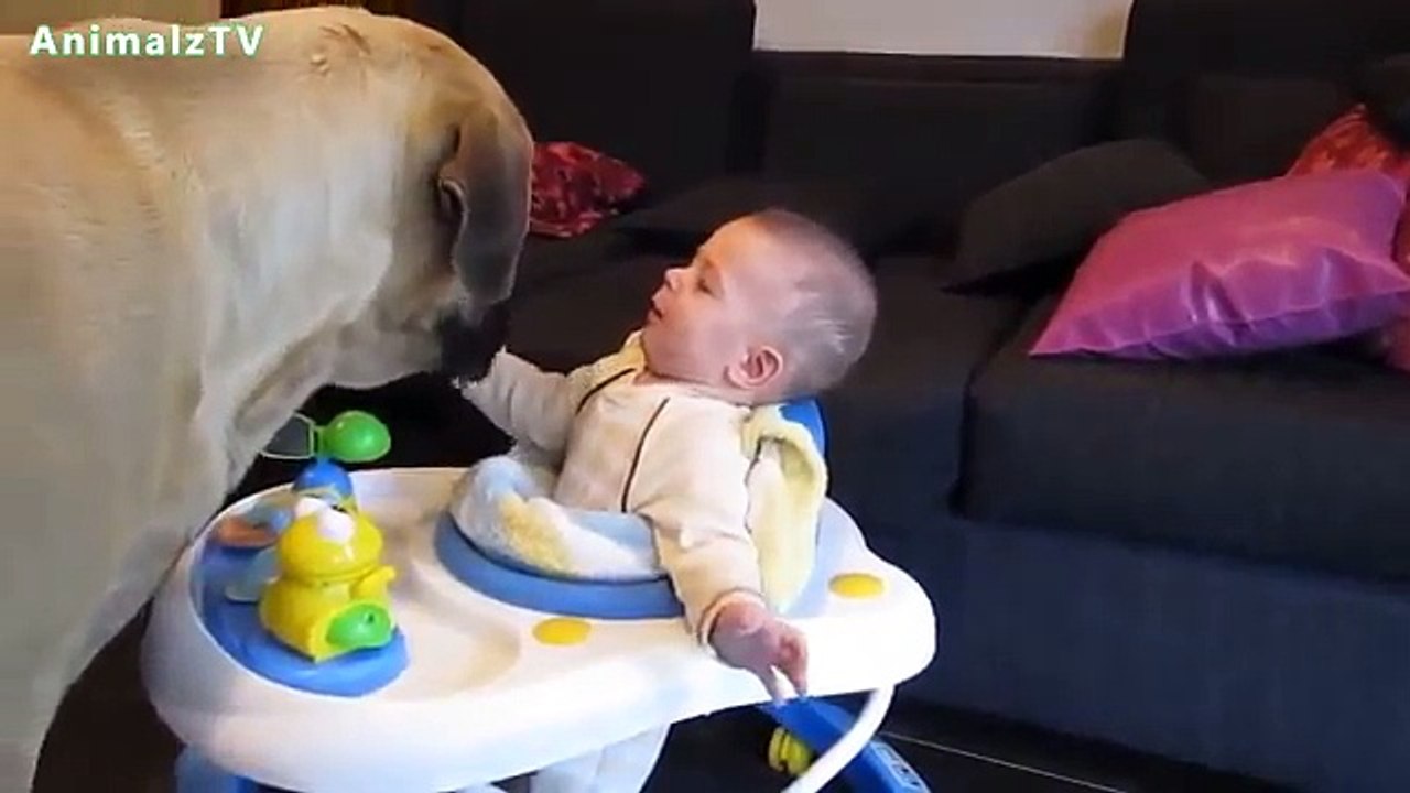 JEUX/L ENFANT ET LE CHIEN
