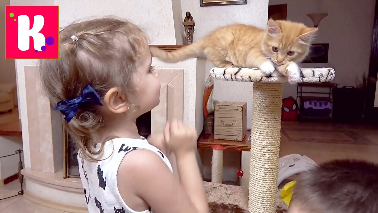 VLOG Кошечка Мурка с Катей в салоне красоты, гр...