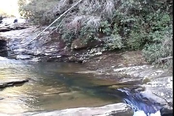 video-2011-01-30-15-19-42