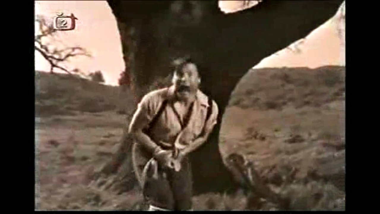 Rod Stewart - Shotgum Wedding