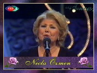 Necla ÖZMEN - Günlerce Bekledim Baktım Yoluna
