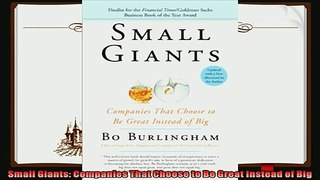 there is  Small Giants Companies That Choose to Be Great Instead of Big