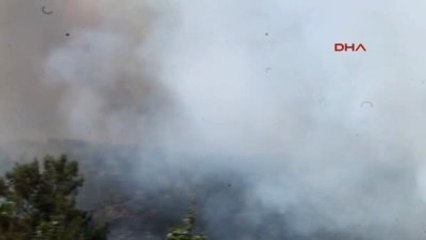 Silifke'de Orman Yangını-3