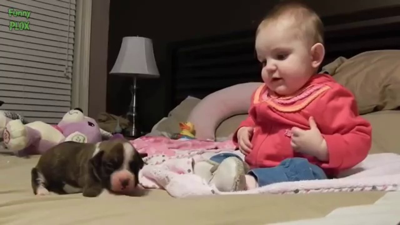 beaux bebes et beaux chiens