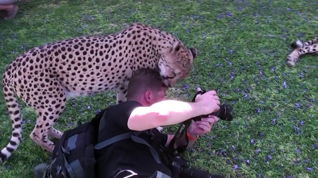 Ouh qu'il est sale !!! :-/ M'en vais te nettoyer la tronche moi, tu vas voir !!