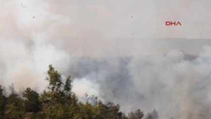 Silifke'de Orman Yangını-4