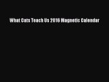 Read What Cats Teach Us 2016 Magnetic Calendar Ebook Free