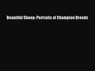 Download Beautiful Sheep: Portraits of Champion Breeds Ebook Free