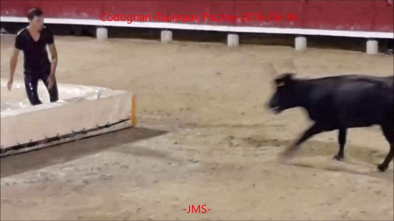 Codognan-Taureaux Piscine-fete votive-2016/06/16