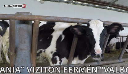 Report TV - Made in Albania viziton fermën "Valbona" në Papër Elbasan