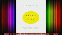 READ book  Spark for the Fire How youthful thinking unlocks creativity Full EBook