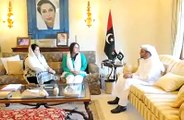 Bakhtawar Bhutto invited to attend Mother of UAE Programme