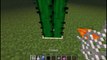 10 Facts About Minecraft You Might Not Have Know ^-^