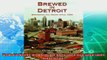 behold  Brewed in Detroit Breweries and Beers Since 1830 Great Lakes Books Series