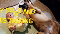 Funny dogs and babies talking - Cute dog & baby compilation