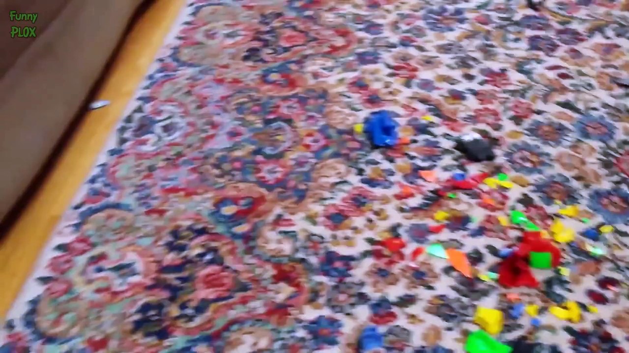 Funny Guilty Dogs Compilation 2015