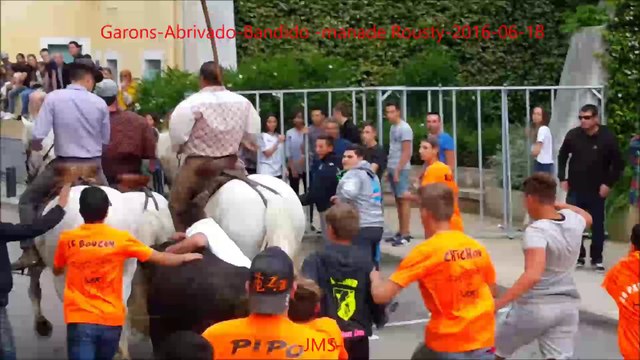 Garons-Abrivado-Bandido -manade Rousty-fete votive-2016/06/18
