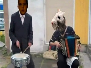 Krzysztof Elektryk - Tak było