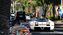 Young Bugatti Veyron Driver Told to Leave the Hotel !