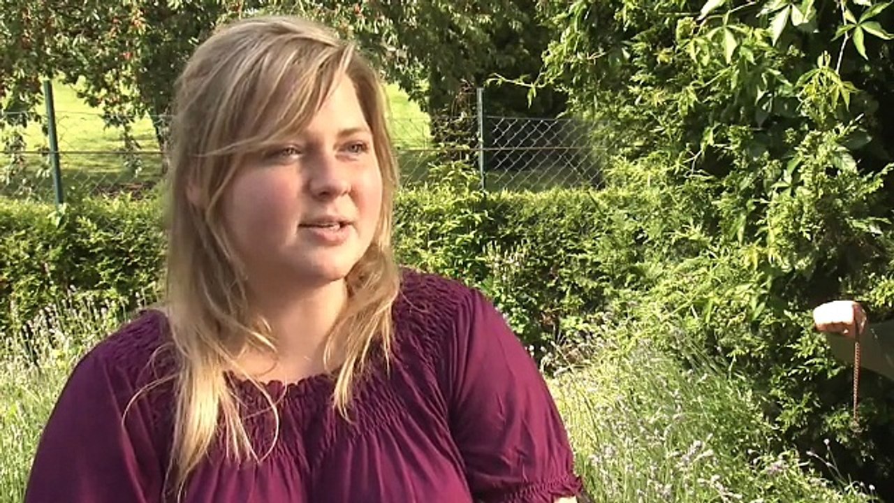 Wanzeninvasion in Nord-Hessen und Nordrhein-Westfalen