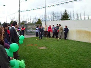 Competencias El Sur: Final del Tejo (21/29)