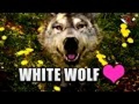 Far Cry Primal | Taming Beasts (White WOLF) - Beast Gameplay