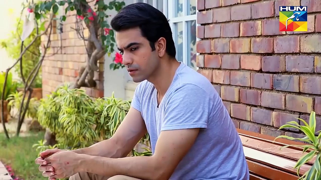 Dil-e-Beqarar Full OST By Hum Tv