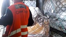 Nhận gửi  hàng đi  ISRAEL, ITALY, MACAO, TIỆP KHẮC, ÁO, NEW ZEALAND, 0985225760 ,