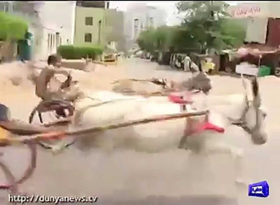 کراچی میں گدھا گاڑیوں کی انوکھی ریس۔۔۔