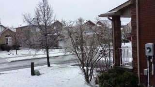Freezing Rain Ice Storm March 23, 2016