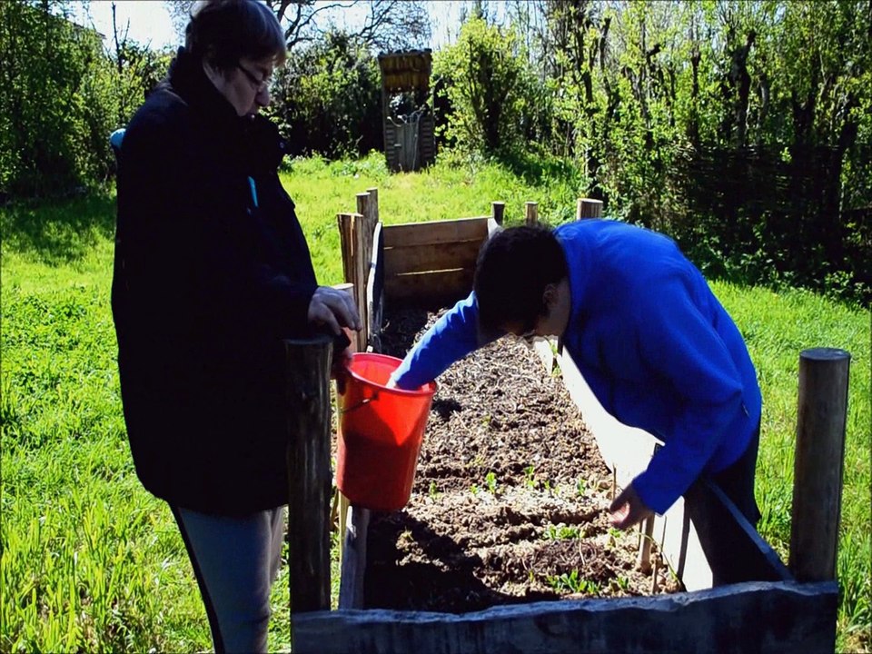 Le secteur éducation à l'environnement et au développement durable de la fédération