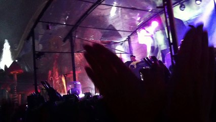 Tomorrowland 2011 by DJ Waxx - Sam 23/074/2011 (17)