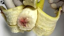 Alert- Bananas were found infected with AIDS in Mexico