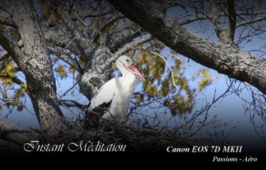 Instant Méditation - Canon EOS 7D MKII