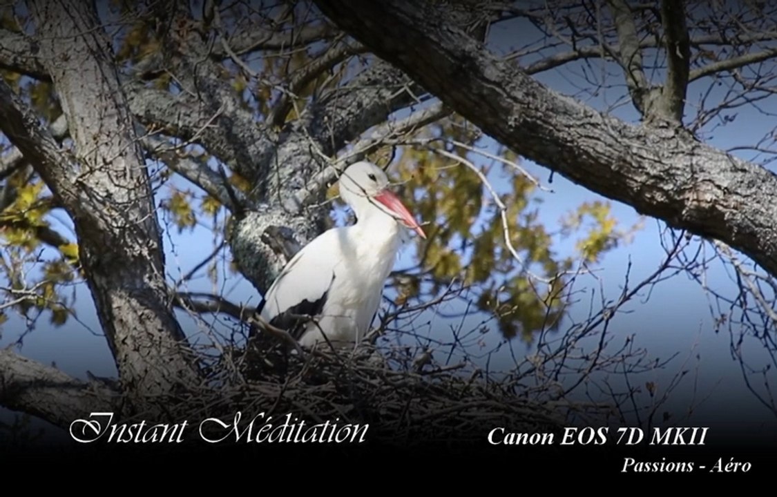 Instant Méditation - Canon EOS 7D MKII