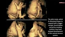 Вот что происходит с плодом в утробе, если мама курит во время беременности. Жуткие кадры!