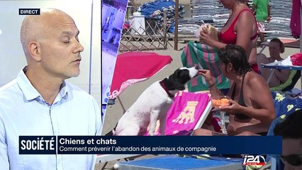 Chiens et chats: Comment prévenir l'abandon des animaux de compagnie