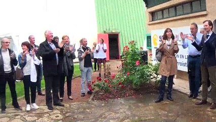 Le 18èmeTrophée 89 de tennis féminin à Auxerre cherche le soleil