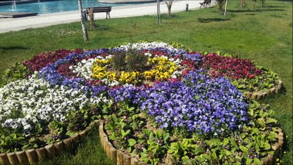 Kurtköy Dumankaya Konsept İstanbulda 2+1 Kiralık Daire