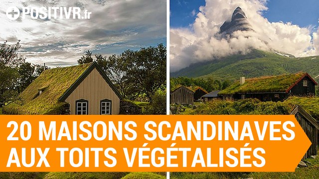 20 maisons scandinaves aux toits végétalisés