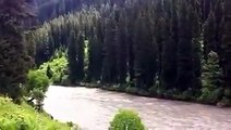 وادی گریز گلگت بلتستان ، آزاد کشمیر اور مقبوضہ کشمیر کے سنگم پر واقع ایک جنت نظیر وادی ۔  یہاں جانے کے دو رستے ہیں گلگت