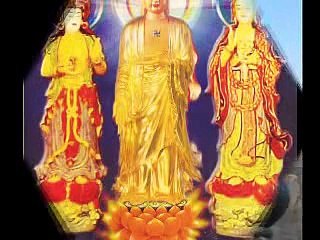 KHUYÊN NGƯỜI NIỆM PHẬT Tập 5 hay lắm nên nghe (Dieu Am)