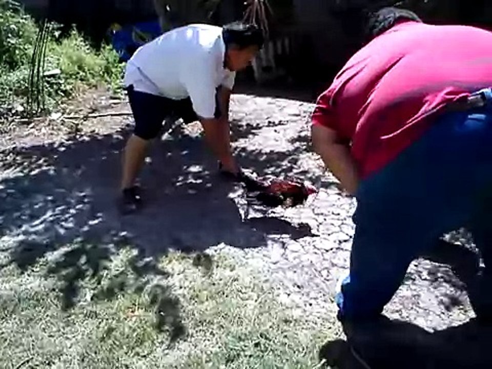 Partido la cresta 5 topando para el 24 de marzo