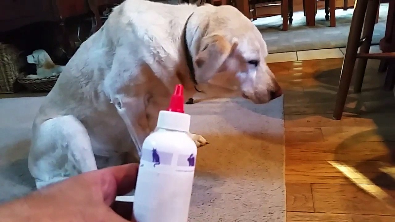 J'aime pas ça de l'eau dans mes oreilles bon