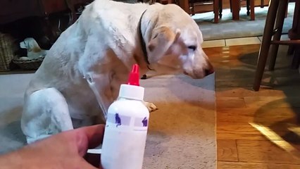 J'aime pas ça de l'eau dans mes oreilles bon