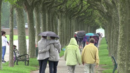 "Oh pluie suspend ton vol.....de soleil"
