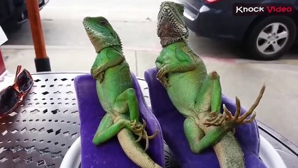 Лучшее/Best из/of YouTube, CUBE, Facebook and Instagram №70