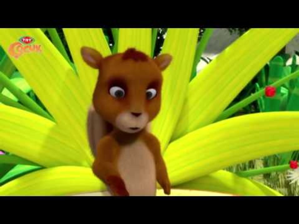 Çılgın Orman 3. Bölüm Türkçe Çizgifilm İzle