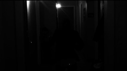 Joan Pau Verdier - Les copains d'la neuille (L. Ferré)